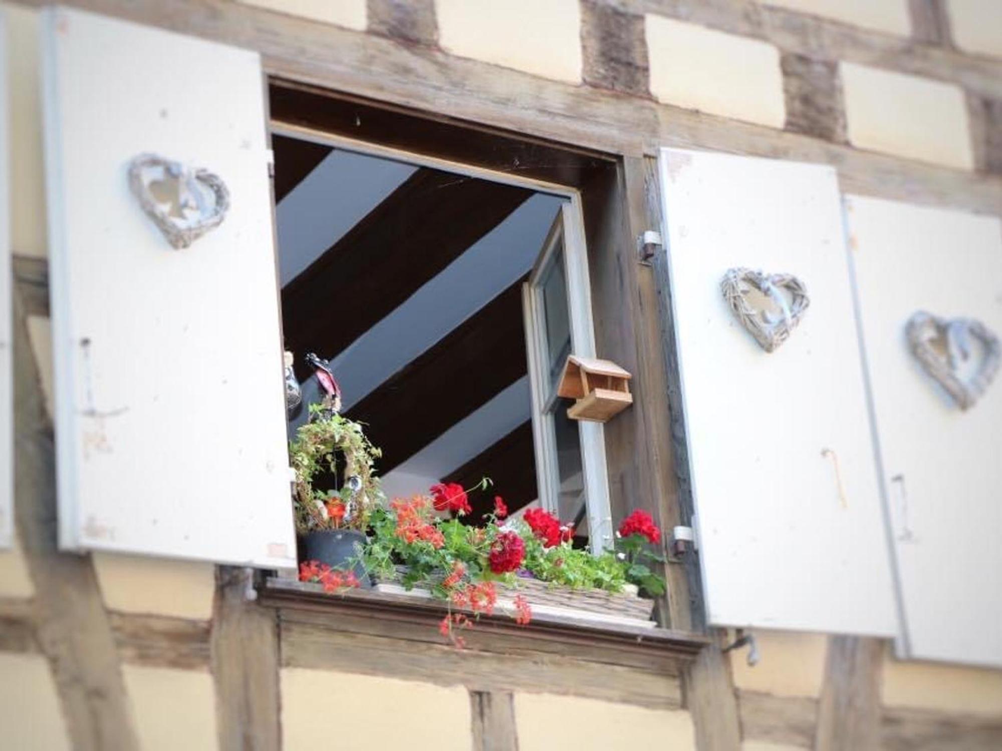 Charmant Appart Avec Garage Et Terrasse Au Coeur De Colmar, Pres De La Route Des Vins D'Alsace - Fr-1-722-6 Ngoại thất bức ảnh