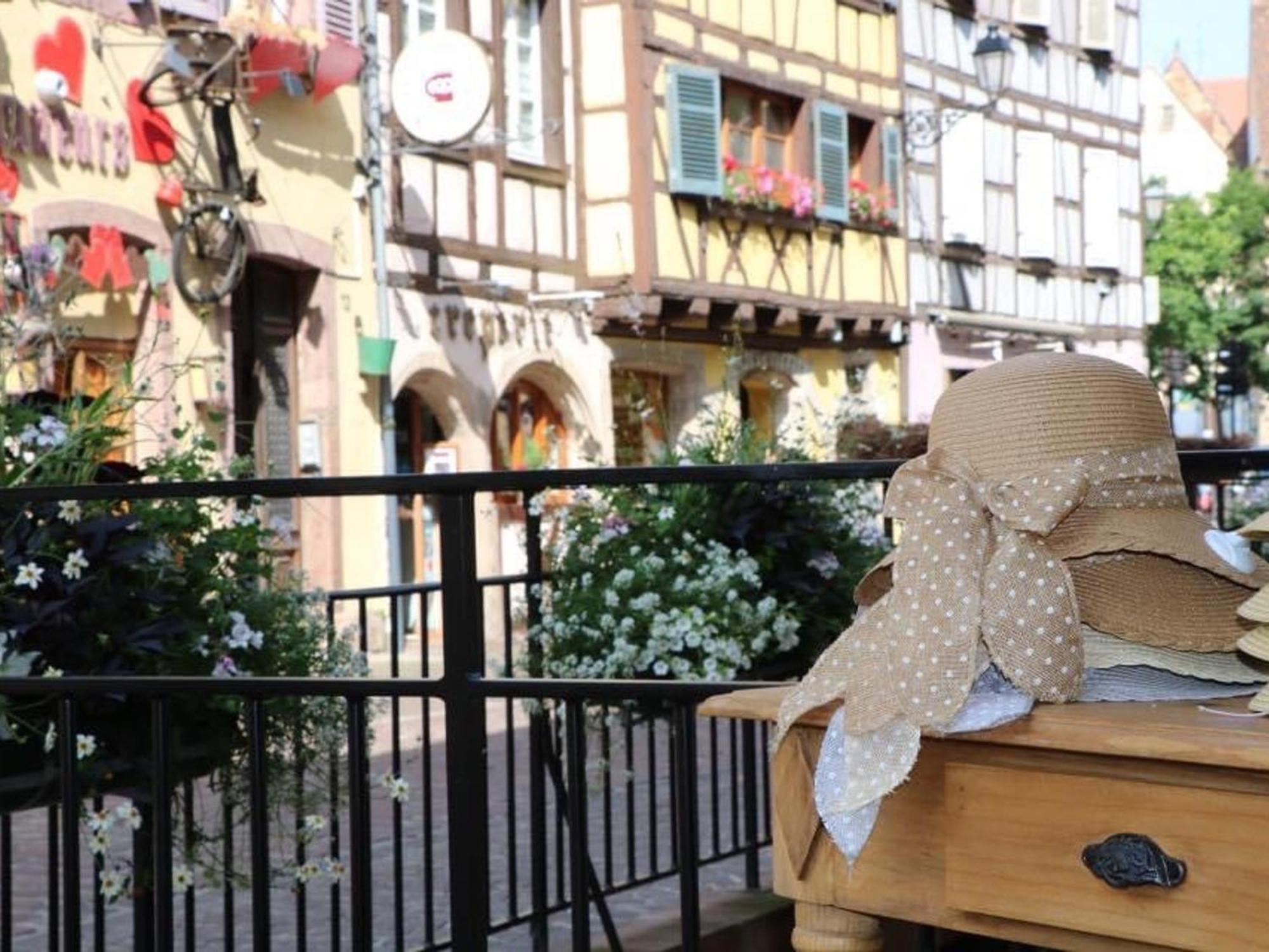Charmant Appart Avec Garage Et Terrasse Au Coeur De Colmar, Pres De La Route Des Vins D'Alsace - Fr-1-722-6 Ngoại thất bức ảnh