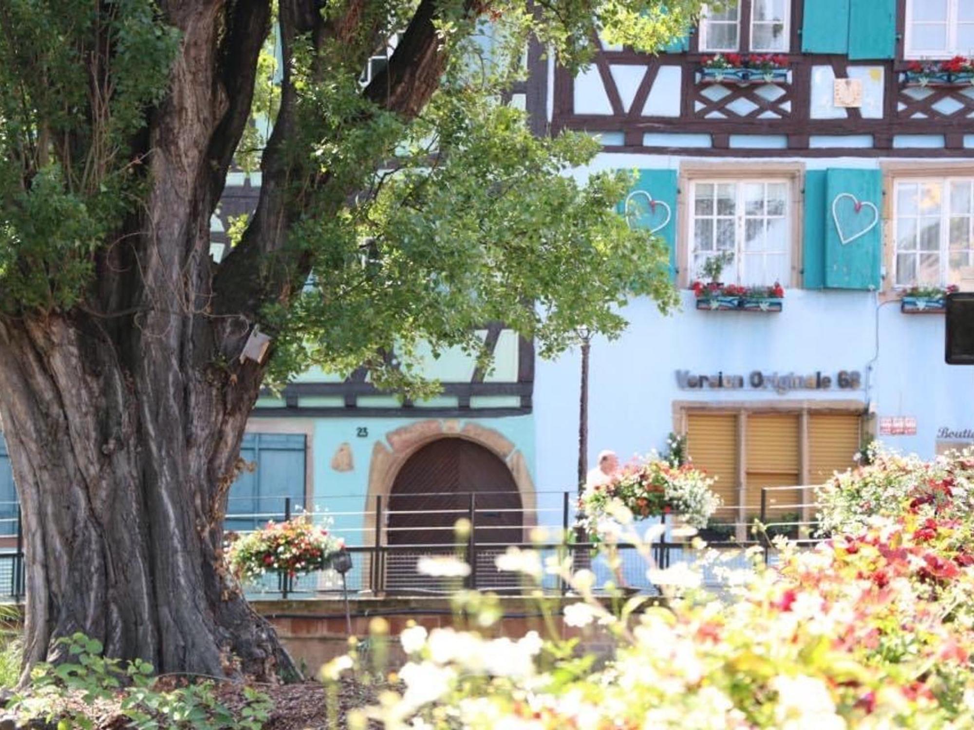 Charmant Appart Avec Garage Et Terrasse Au Coeur De Colmar, Pres De La Route Des Vins D'Alsace - Fr-1-722-6 Ngoại thất bức ảnh